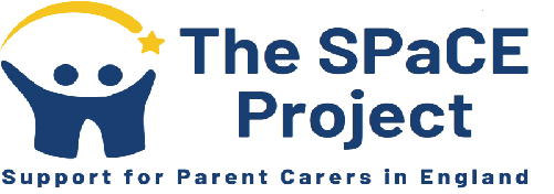 SPaCE-Logo-larger-768x328